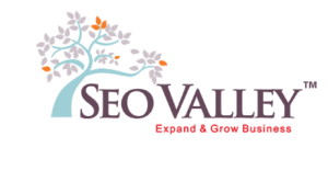 SEOValley Solutions Pvt. Ltd. - IT Company in Bhopal