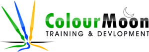 Color Moon Technologies - Software Companies in Visakapatnam