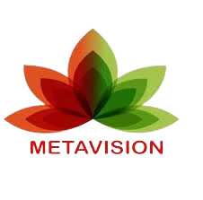 Metavision Technology Pvt Ltd. - Top IT Companies in Goregaon