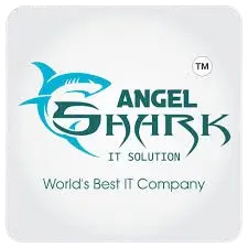 Angel Shark IT Solution - Best IT Company in Satara