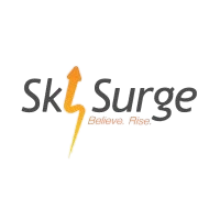 SkySurge Business Solutions Private Limited - Best Software Companies in Banashankari