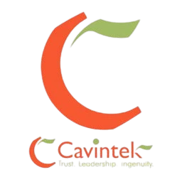 Cavintek Software Private Limited - Best IT Companies in Velachery