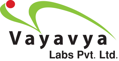 Vayavya Labs Pvt. Ltd. - IT Companies in Belgaum