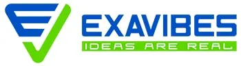 Exavibes Services Private Limited - Top IT Companies in Borivali